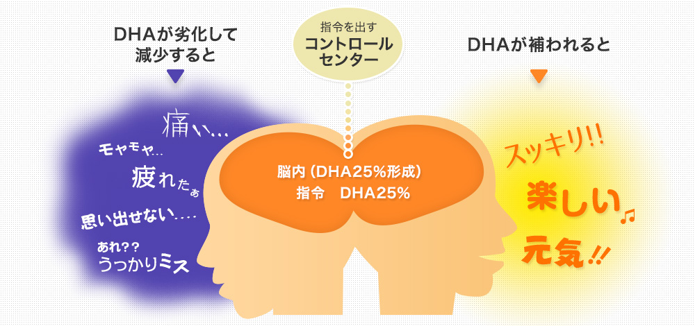 DHAが劣化して不足すると大変