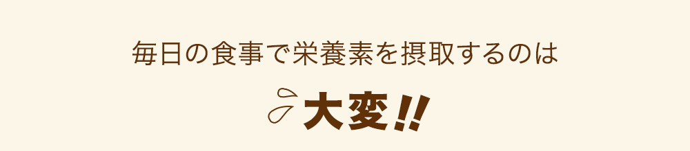 毎日の必要な栄養素を食事だけでとるのは大変