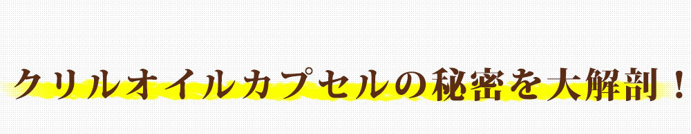 クリルオイルカプセルを大解剖