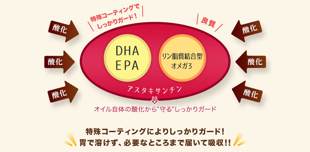 改良型・脱臭クリルオイルの特殊なコーティングよりしっかりガード。